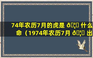 74年农历7月的虎是 🦄 什么命（1974年农历7月 🦉 出生的人运程）